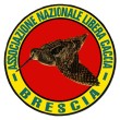 ANLC BRESCIA logo (443 x 443) (110 x 110).jpg
